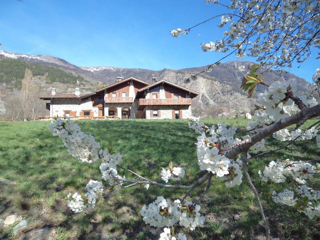 Bed & Breakfast Villamour Boutique & *
