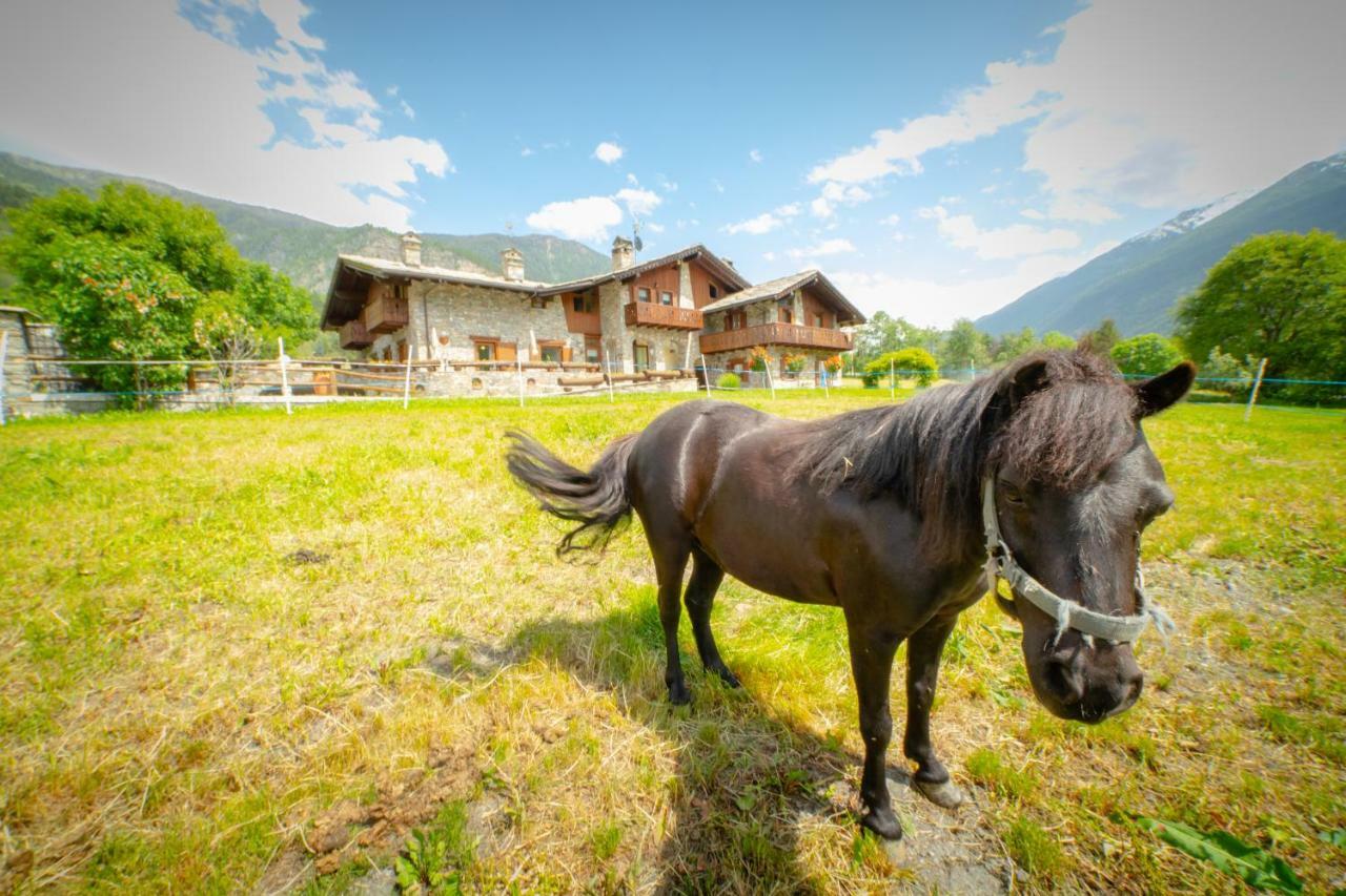 Bed & Breakfast Villamour Boutique & *
